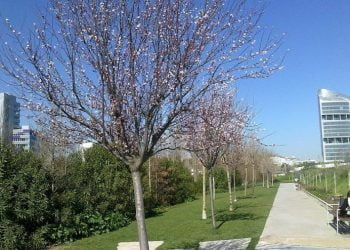 Parques Tejo requalifica Parque Urbano de Miraflores