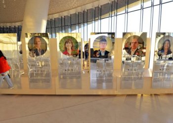 Projeto de reflorestação da Católica do Porto escolhido para integrar livro, filme e exposição