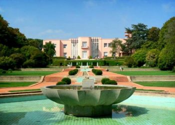 4ª edição do Bioblitz dá a conhecer a biodiversidade de Serralves