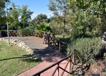 Dia Mundial do Ambiente comemorado em Loulé com “Cadoiço em Festa”