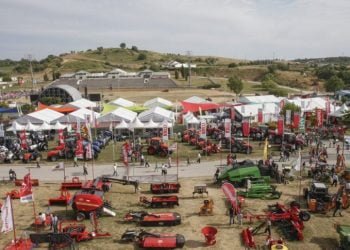 “Cereais de Portugal” é o tema da 54ª Feira Nacional de Agricultura