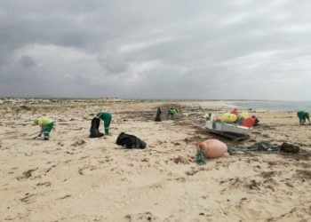 Reclusos do Estabelecimento Prisional de Olhão ajudam na limpeza da Armona