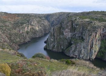 ObservArribas já tem programa e website oficial