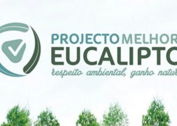 Projeto Melhor Eucalipto vai estar em Mortágua e em Castelo Branco