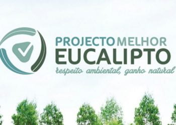 Projeto Melhor Eucalipto vai até Chamusca debater boas práticas ambientais