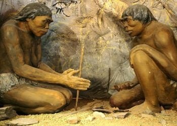 Cientistas descobrem hominídeo que partilhou África com os primeiros humanos