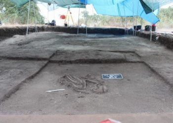 Centro de Arqueologia da UAlg ganha financiamento do Earthwatch Institute para projeto inédito em Portugal