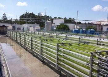 Investigadores da UAlg visitaram Unidade de Produção de Microalgas da SECIL