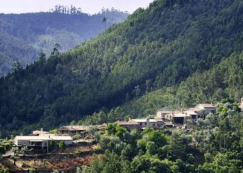 Pedrógão Grande: Aldeia de Casal de São Simão avança com zona de proteção contra incêndios