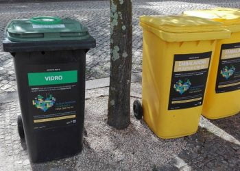 Recolha de resíduos solidária nas Festas da Maia