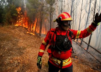 Este ano os fogos têm “quilómetros de distância” logo no início