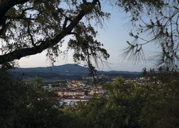 Câmara de Anadia limpa terrenos para prevenir incêndios