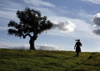 “Resistir”. Palavra de ordem num Alentejo à sede