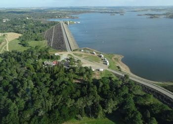 Governo retira 150 toneladas de peixe de quatro barragens no Alentejo devido à seca