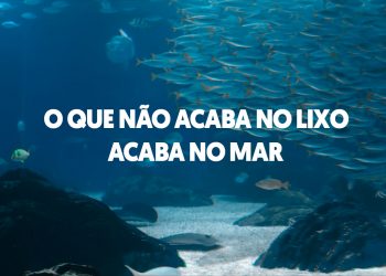 Primeira campanha da Oceano Azul quer salvar o oceano