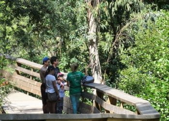 Arouca Geopark dinamizou ações em prol da natureza
