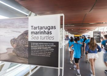 Oceanário apresenta “Conservação”