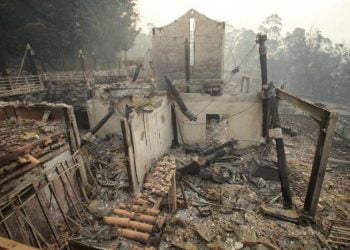 Madeira já desencadeou operações de limpeza em 230 hectares de terrenos florestais