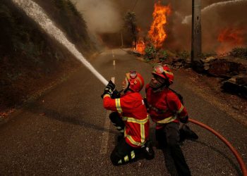 Área ardida na serra do Alvão, Vila Real, foi de 450 hectares