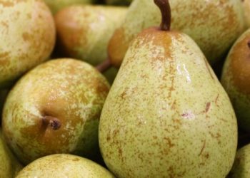 Ministro da Agricultura quer ajudar setor da pera rocha a legalizar mão-de-obra sazonal