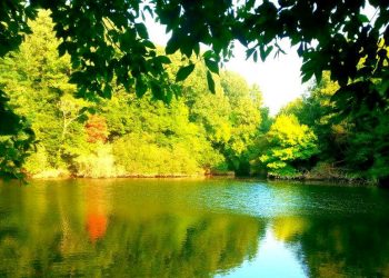 Valença vai ter novo corredor verde