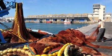 Schneider Electric desenvolve projeto de eficiência energética para a Docapesca