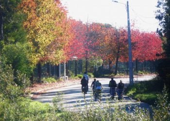 Aveiro promove Semana Europeia da Mobilidade com pedalada