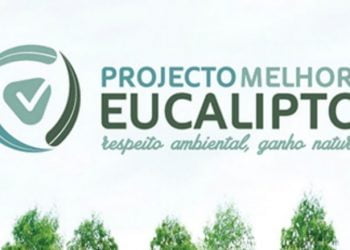 Projecto Melhor Eucalipto vai estar em Fafe e Arouca
