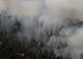 Os seis maiores incêndios foram responsáveis por quase metade da área ardida em Portugal