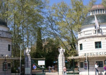 Green Sheikh Academy chega a Portugal em parceria com o Jardim Zoológico