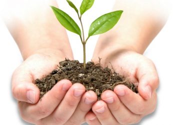 Mangualde sensibiliza para a importância da proteção contra a erosão dos solos