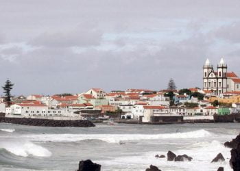 SPEA propõe alterações à caça nos Açores