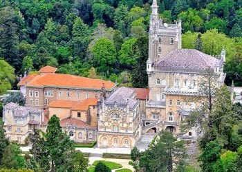 Voluntários de 13 países plantam 3500 árvores em quatro dias no Bussaco