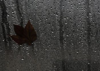 ” É expectável torrentes lamacentas por causa da chuva”