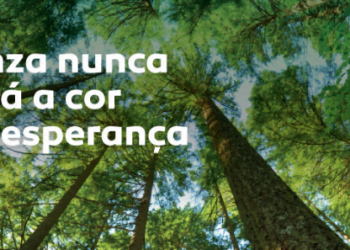 Terra de Esperança quer plantar 500 mil árvores para reflorestar Portugal