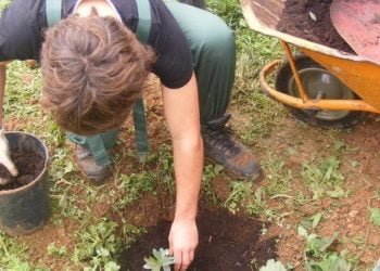 Loulé assinala Dia da Floresta Autóctone com sensibilização para a sua preservação