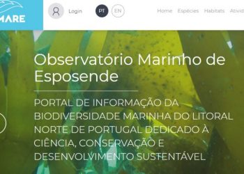 Esposende apresenta plataforma do Observatório Marinho