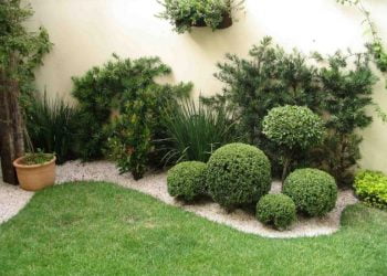Lisboa vai distribuir quatro mil compostores a munícipes com jardim em 2018