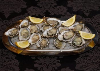 Ostra do Sado em recuperação, de acordo com estudo científico