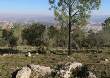 Porto de Mós arranca com Estratégia de Prevenção dos Incêndios Florestais 2018