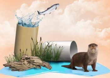 Valormed lança campanha a apelar à devolução dos resíduos de medicamentos à farmácia