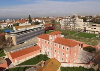 Projeto das 100 mil árvores vence prémio “O Norte Somos Nós”