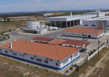 Ecodeal vê licença renovada