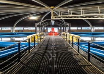 Mülheim Water Award 2018 com candidaturas até 28 de fevereiro