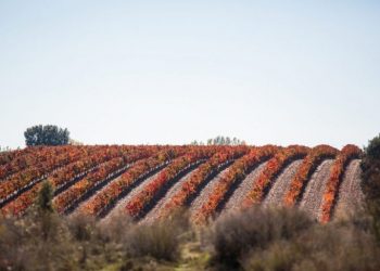 Alentejo Circular promove transição para economia sustentável
