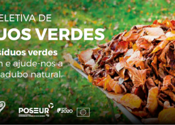 Valongo arranca com recolha gratuita de resíduos verdes