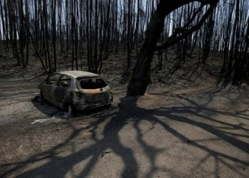 Governo propõe prémio para centrais de biomassa sem incêndios na região envolvente