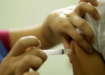 DGS recomenda vacina da febre amarela a quem viaja para o Brasil