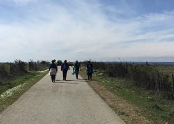 Mértola dinamiza caminhada pela floresta