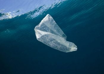 Ocean Conservancy e Breitling juntas pela paixão por um oceano limpo